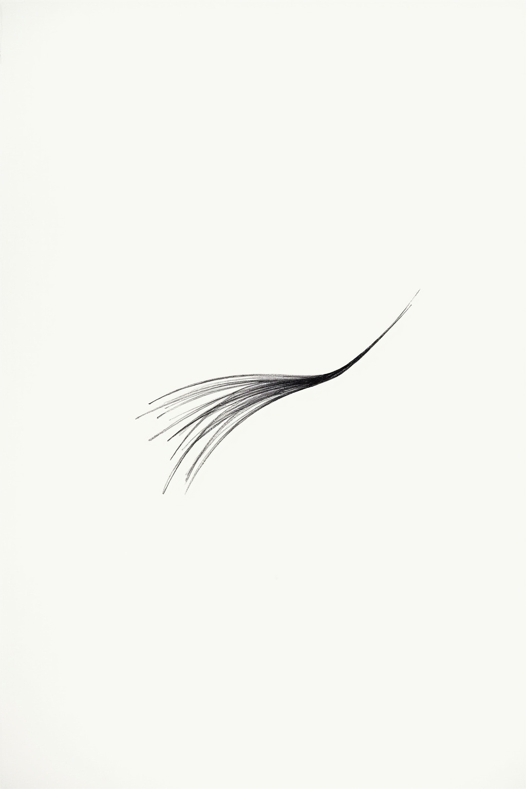 8 Minimalistische Strichzeichnungen für dein Zuhause